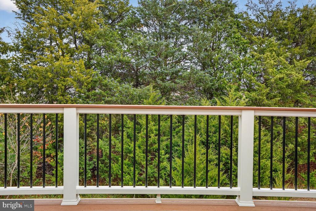 41381 LADYBUG COURT