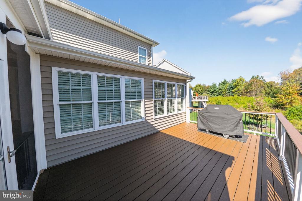 41381 LADYBUG COURT