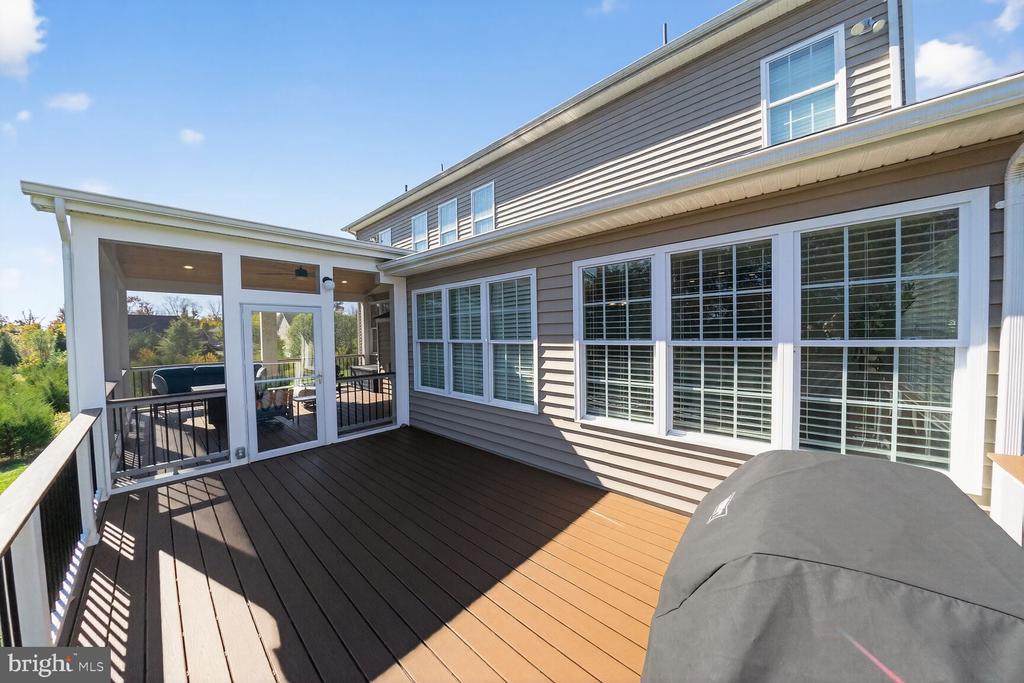 41381 LADYBUG COURT