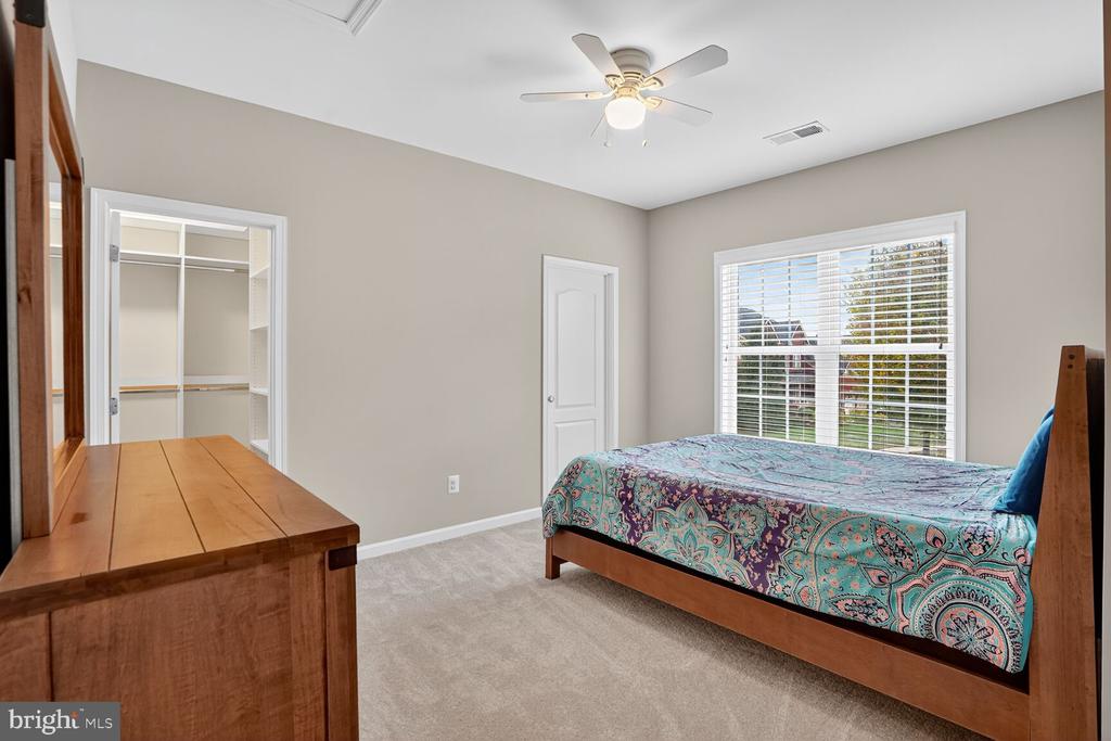 41381 LADYBUG COURT