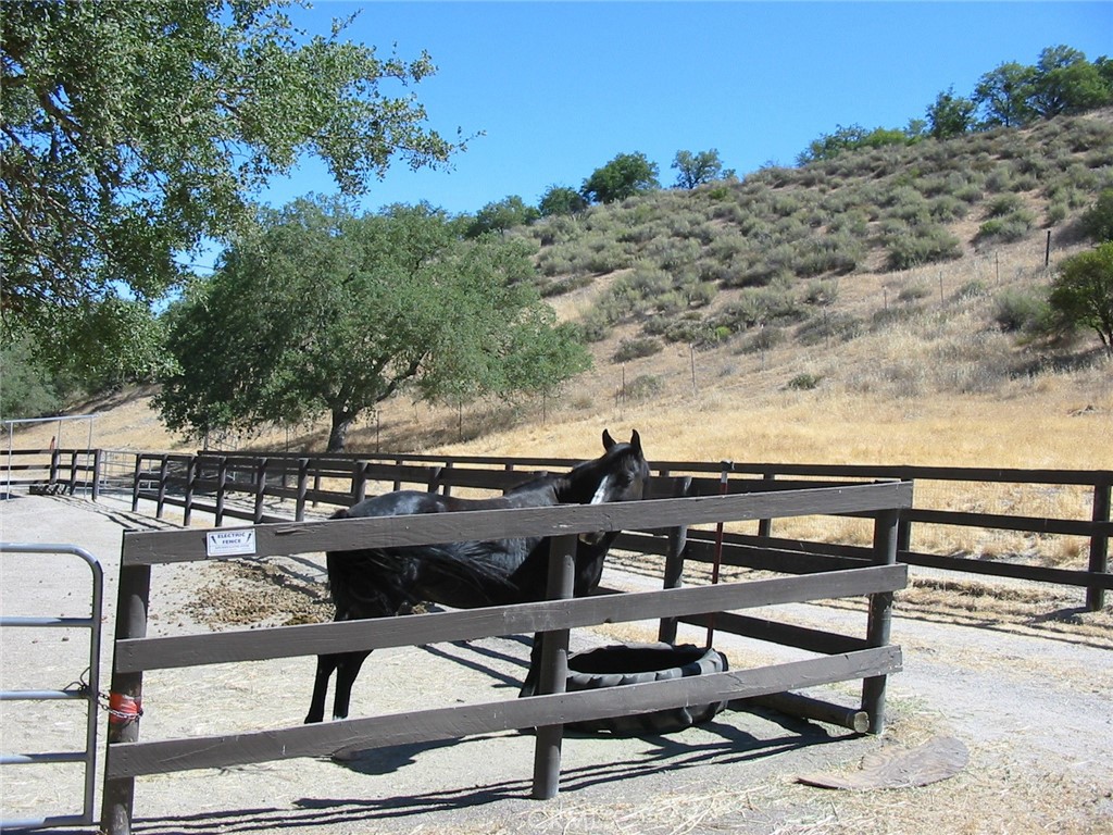 11355 Nacimiento Lake Drive