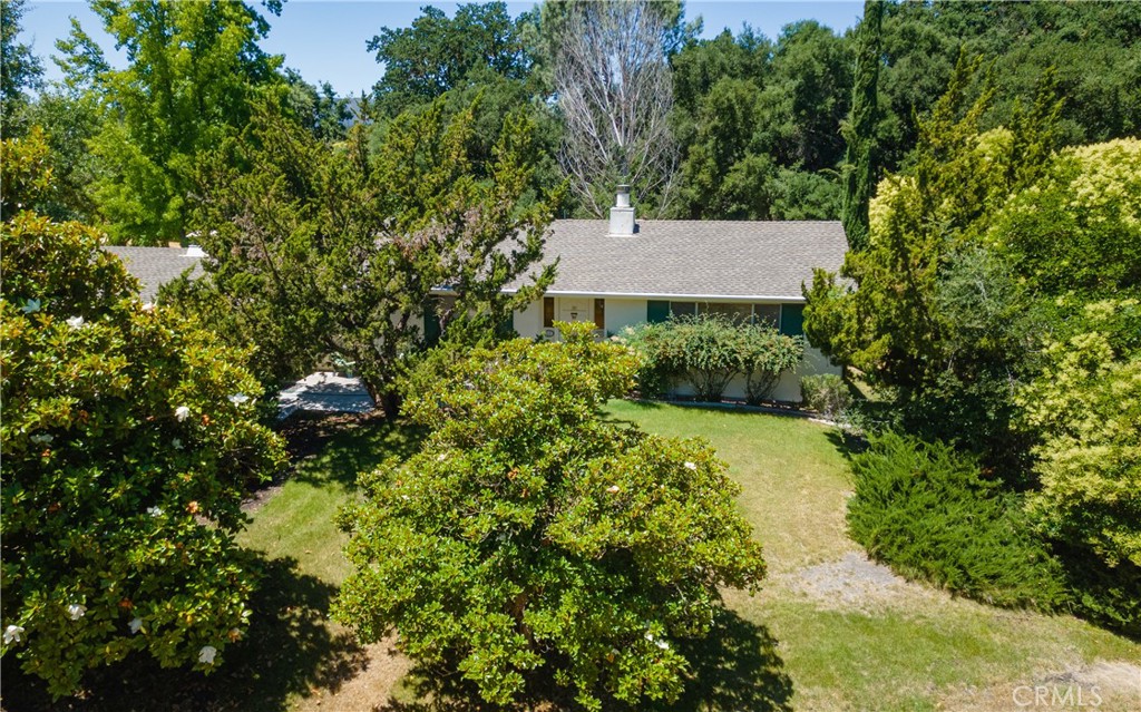 8900 Pino Solo Avenue