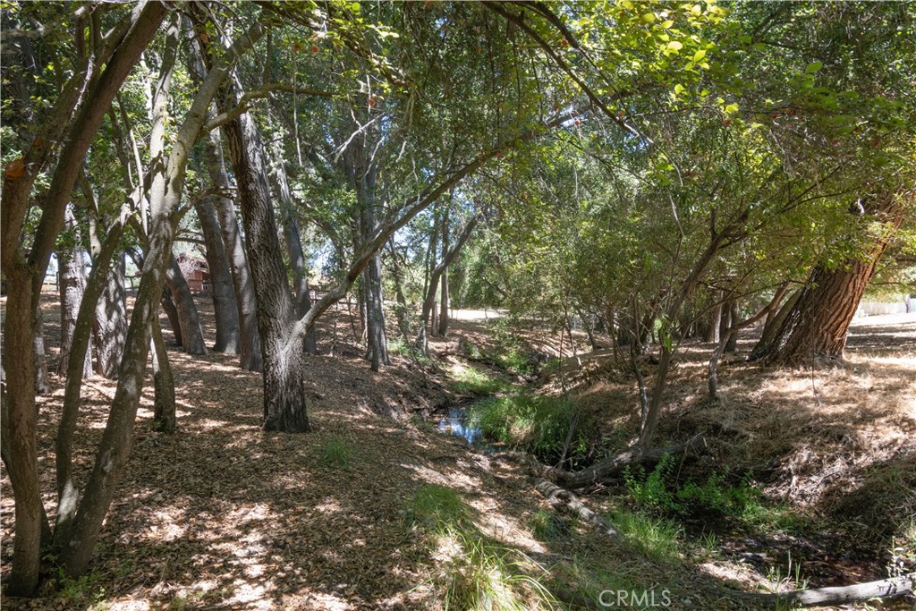 8900 Pino Solo Avenue