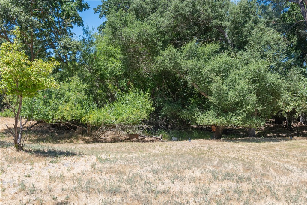 8900 Pino Solo Avenue