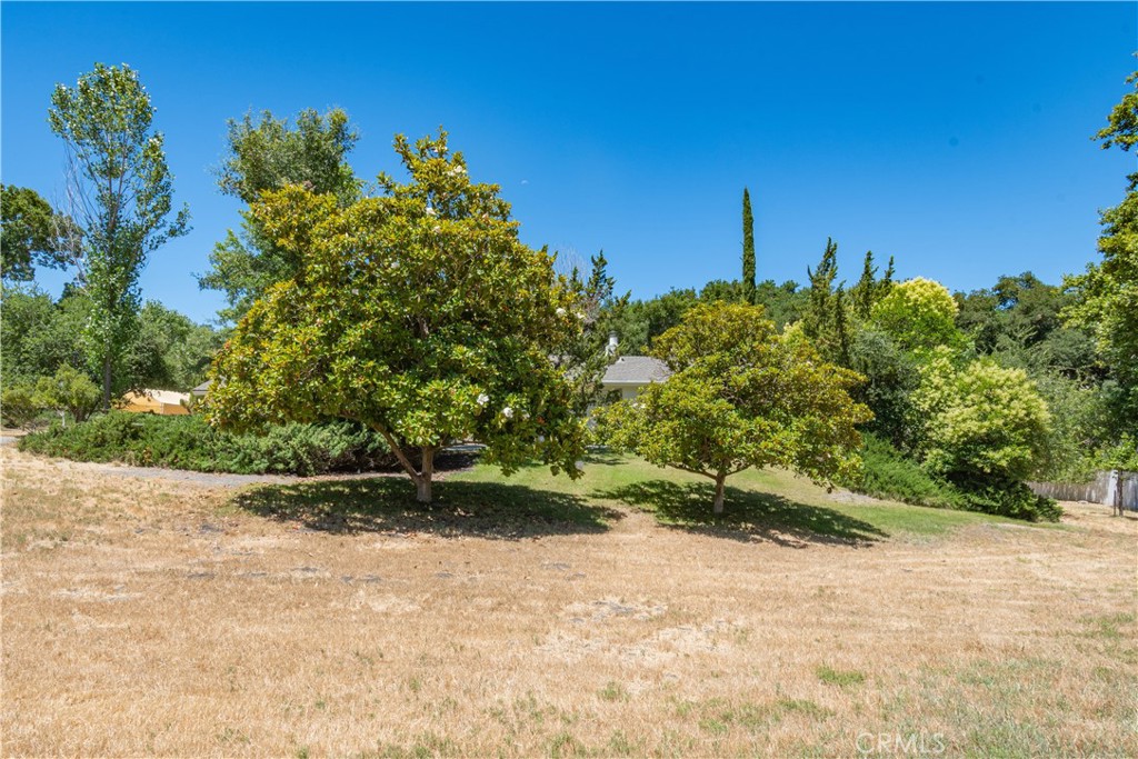 8900 Pino Solo Avenue