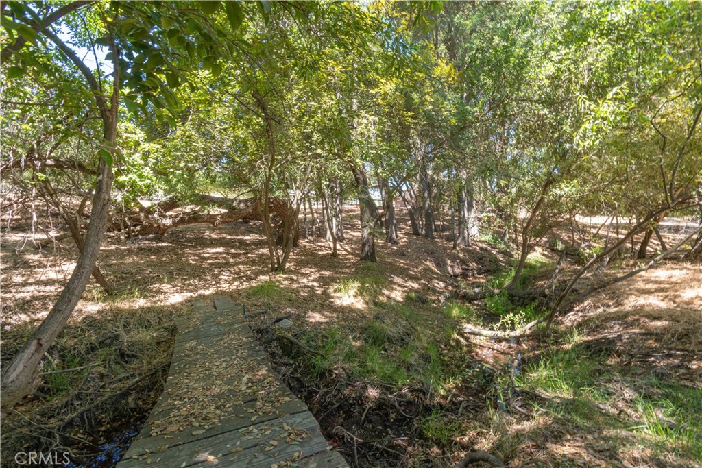 8900 Pino Solo Avenue