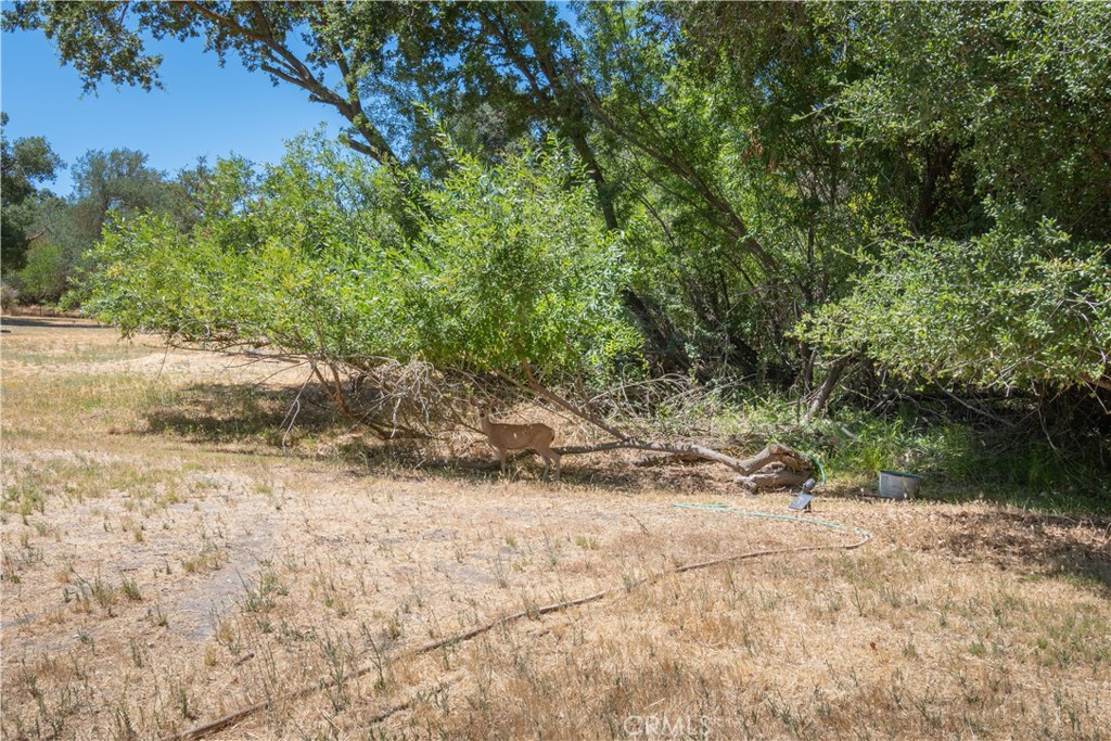 8900 Pino Solo Avenue