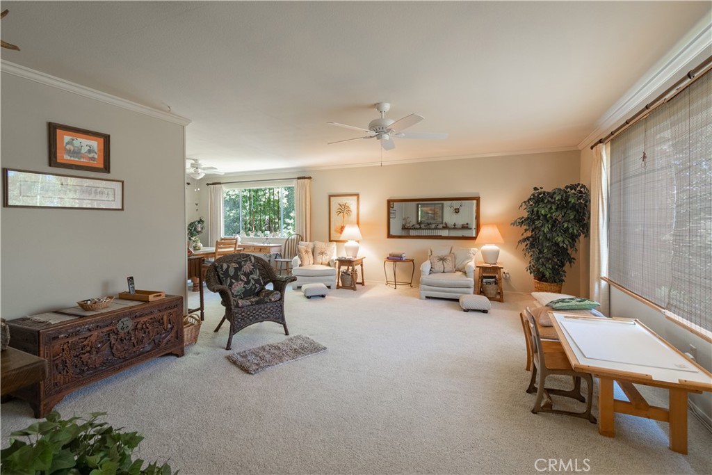 8900 Pino Solo Avenue