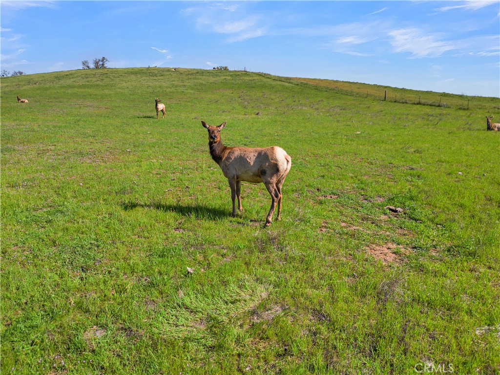 12000 Nacimiento Lake