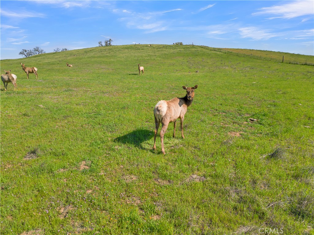 12000 Nacimiento Lake