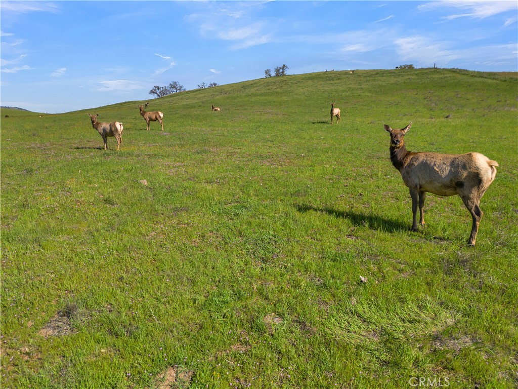 12000 Nacimiento Lake