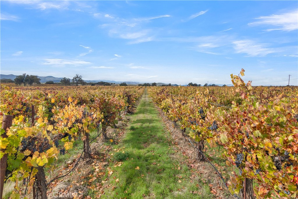 53500 Bradley Lockwood