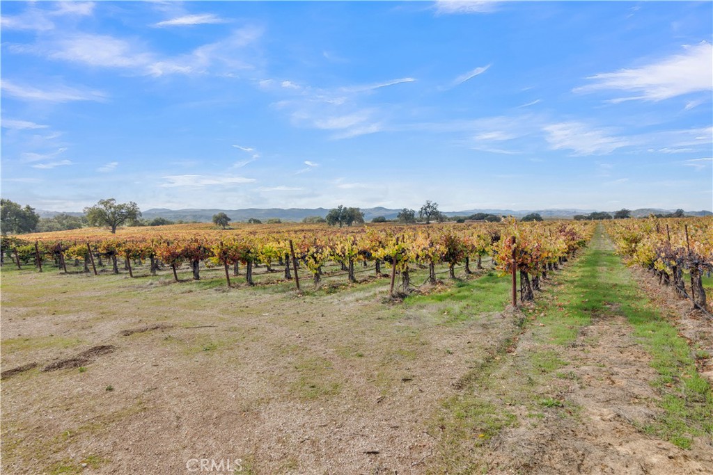 53500 Bradley Lockwood