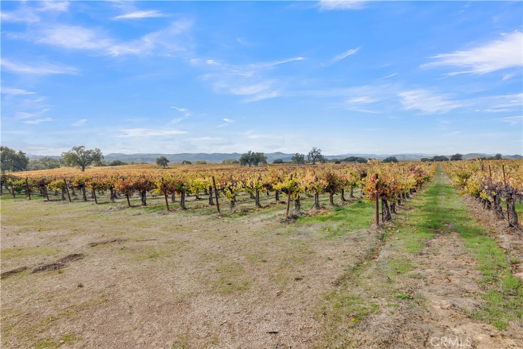 53500 Bradley Lockwood