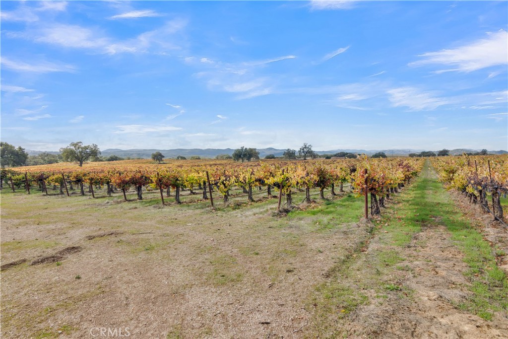 53500 Bradley Lockwood