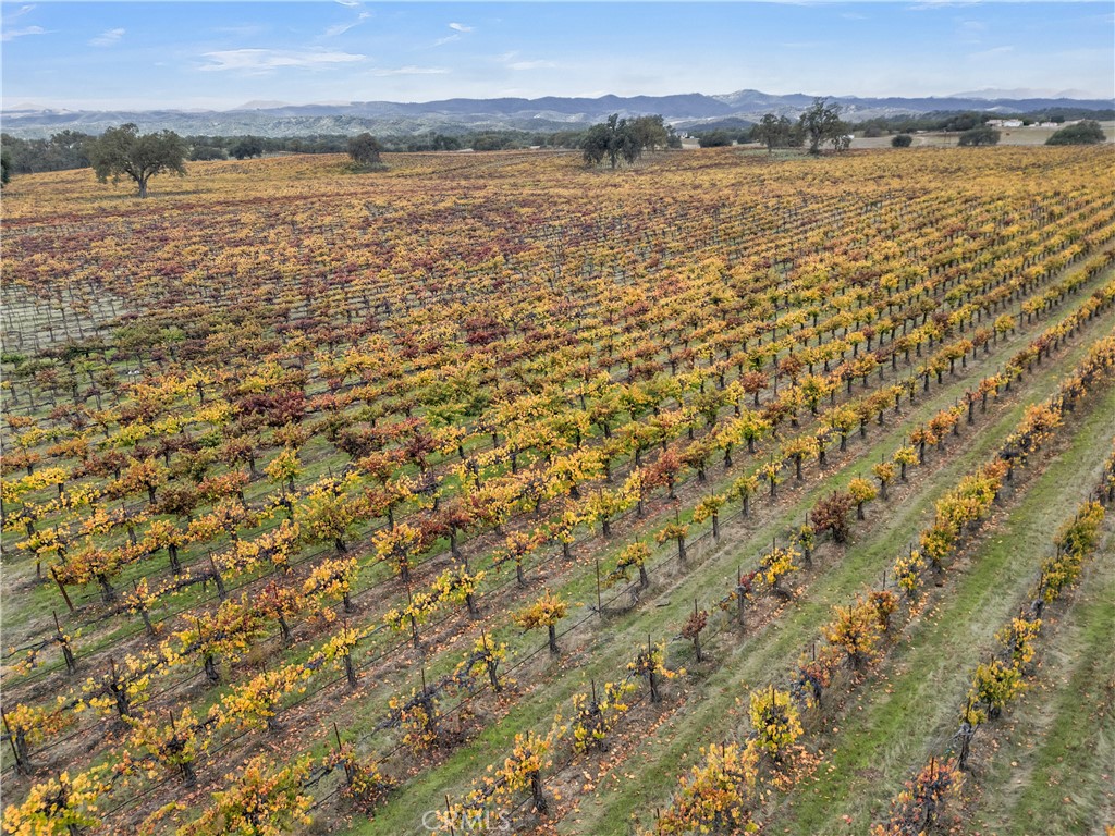 53500 Bradley Lockwood