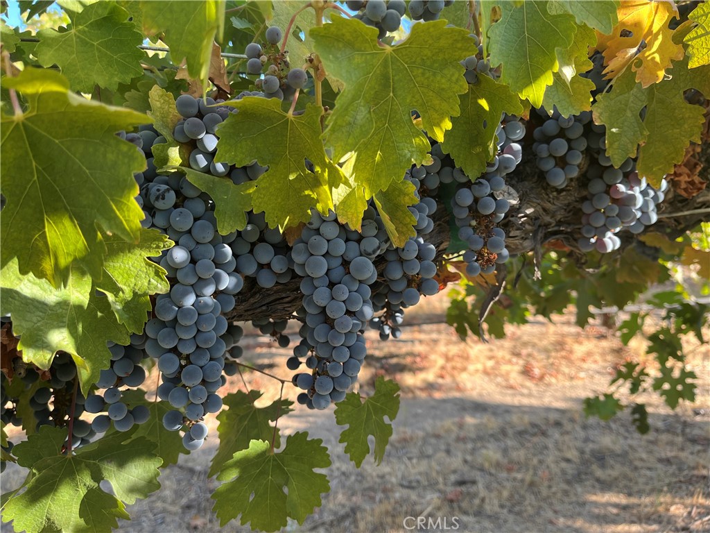 53600 Bradley Lockwood