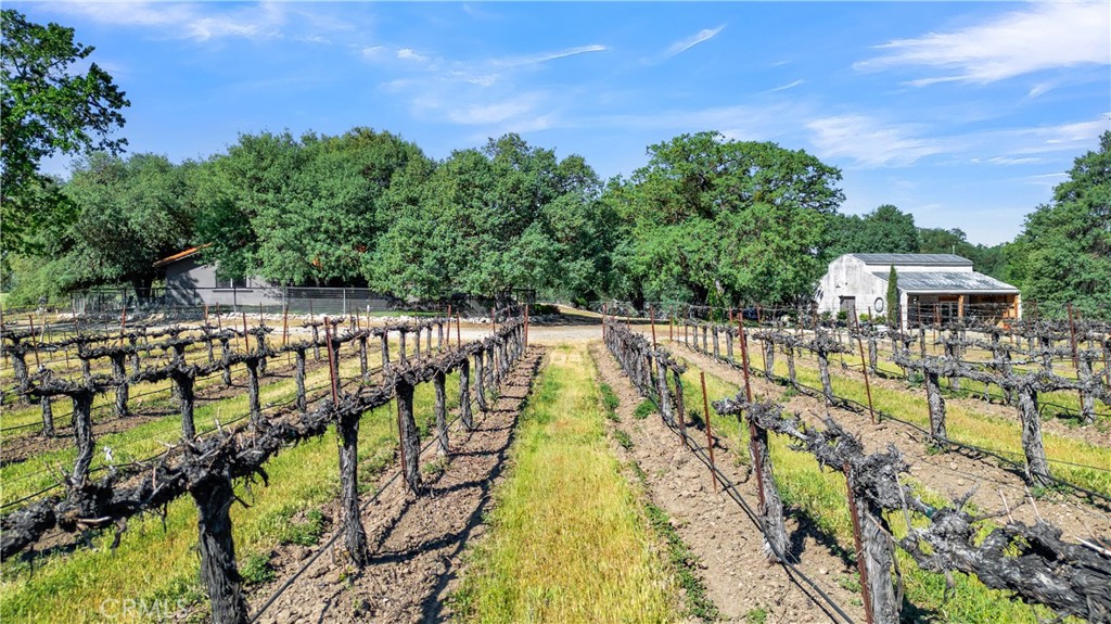 53600 Bradley Lockwood