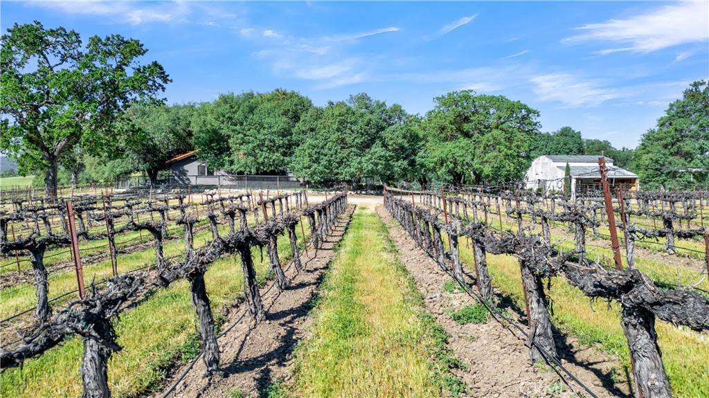 53600 Bradley Lockwood