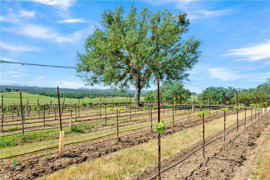 53600 Bradley Lockwood