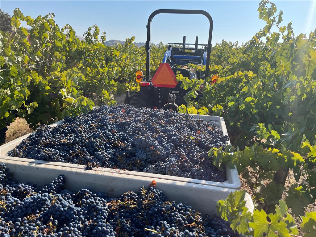 53600 Bradley Lockwood