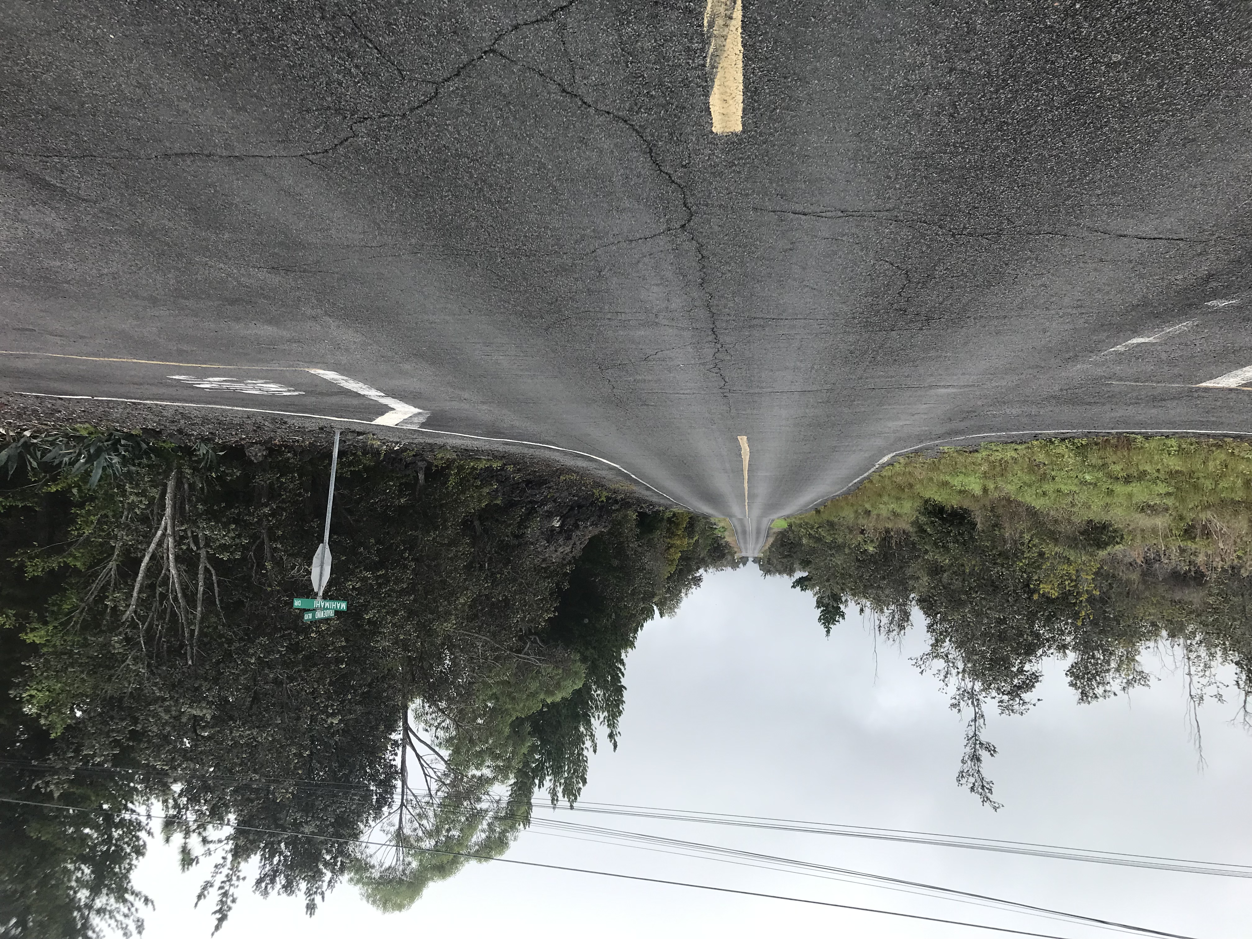 TRADE WIND BLVD