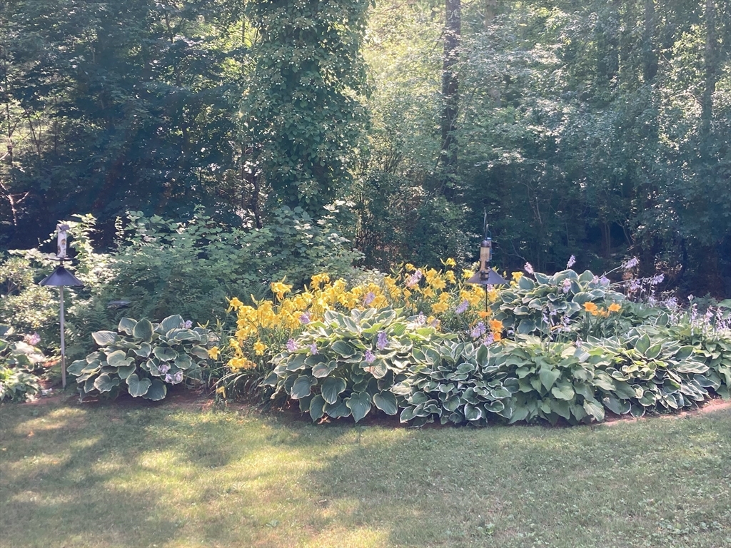 113 Farmersville Road