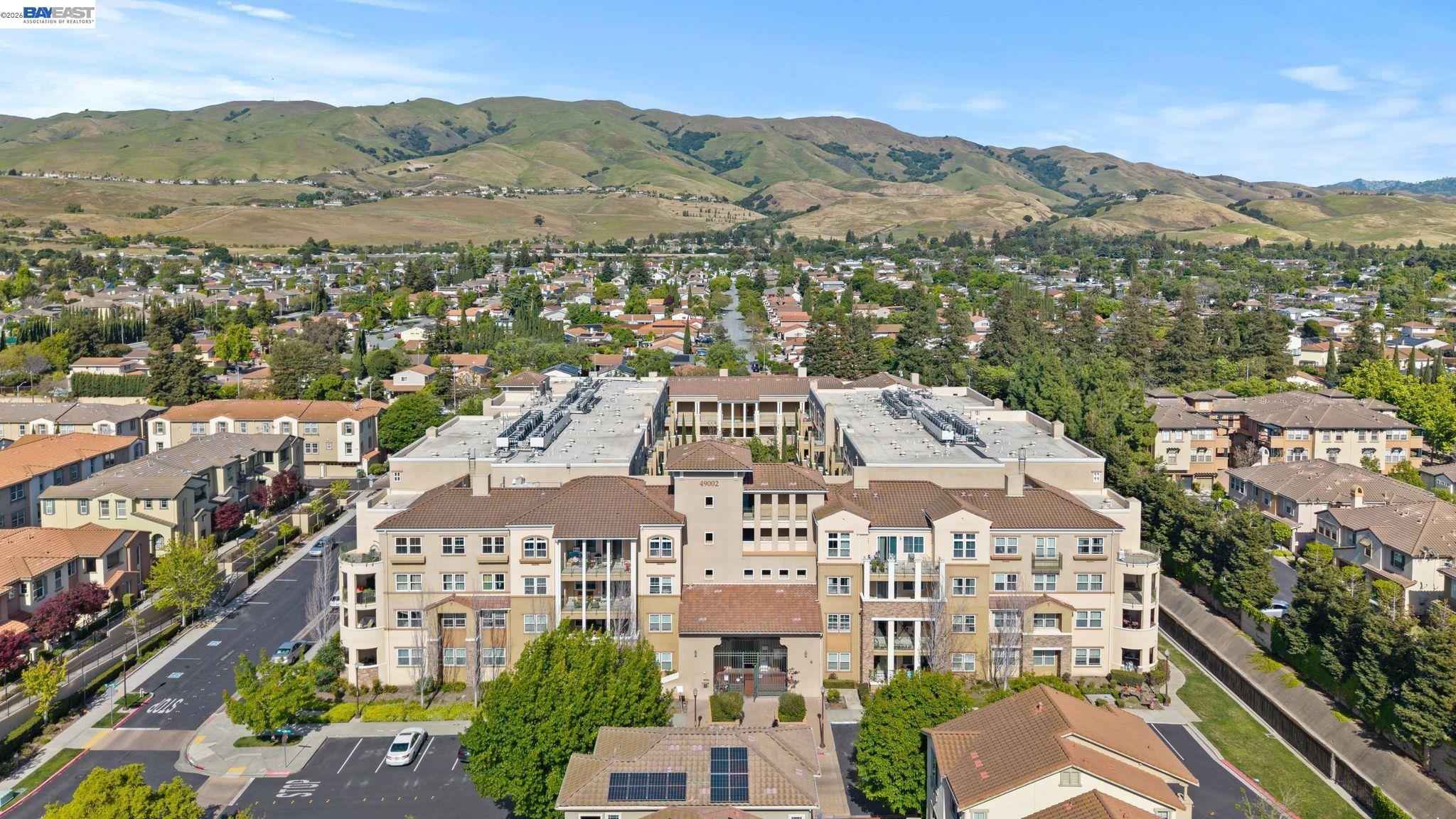 49002 Cinnamon Ferm Common # 507