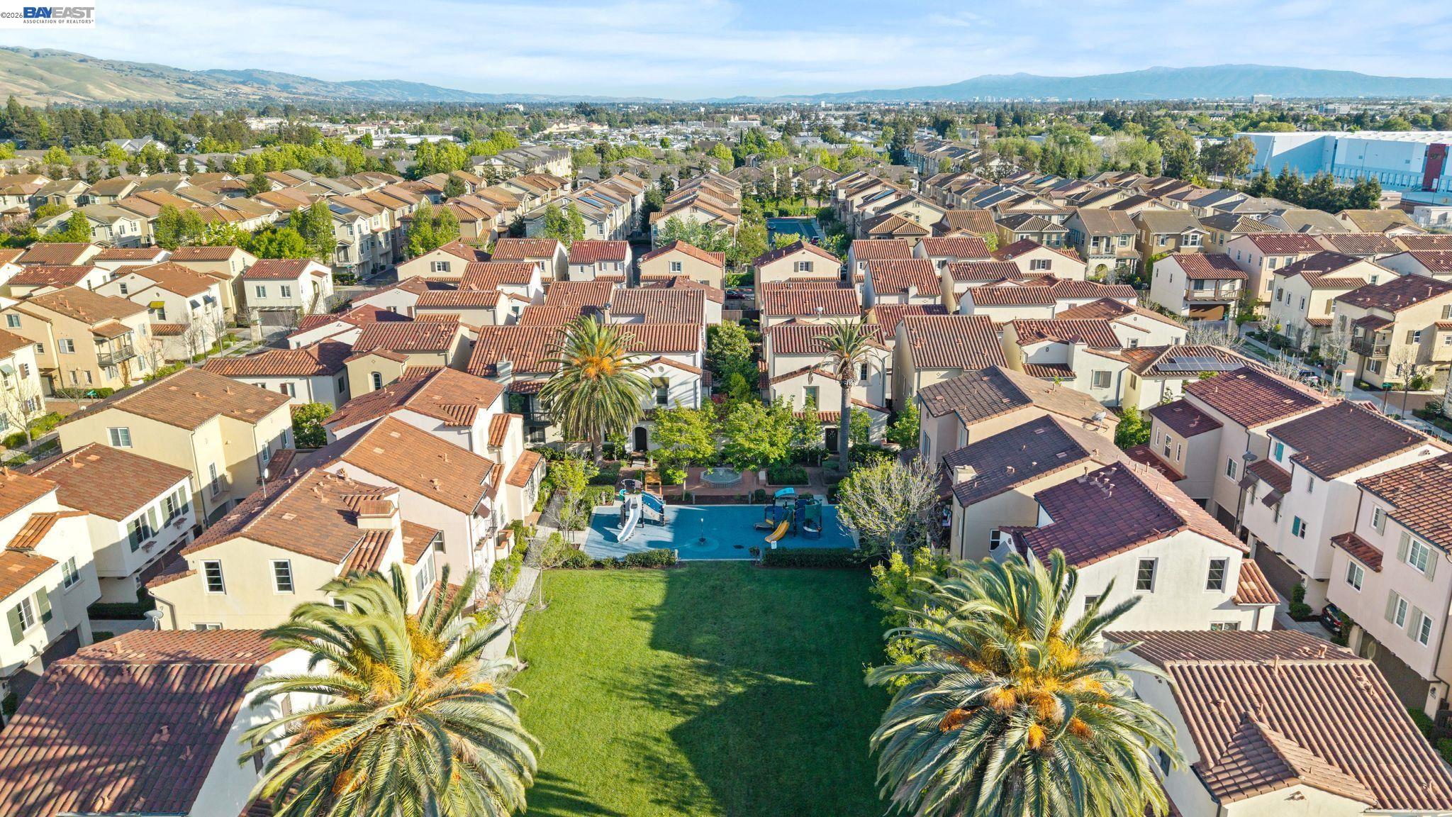 49002 Cinnamon Ferm Common # 507