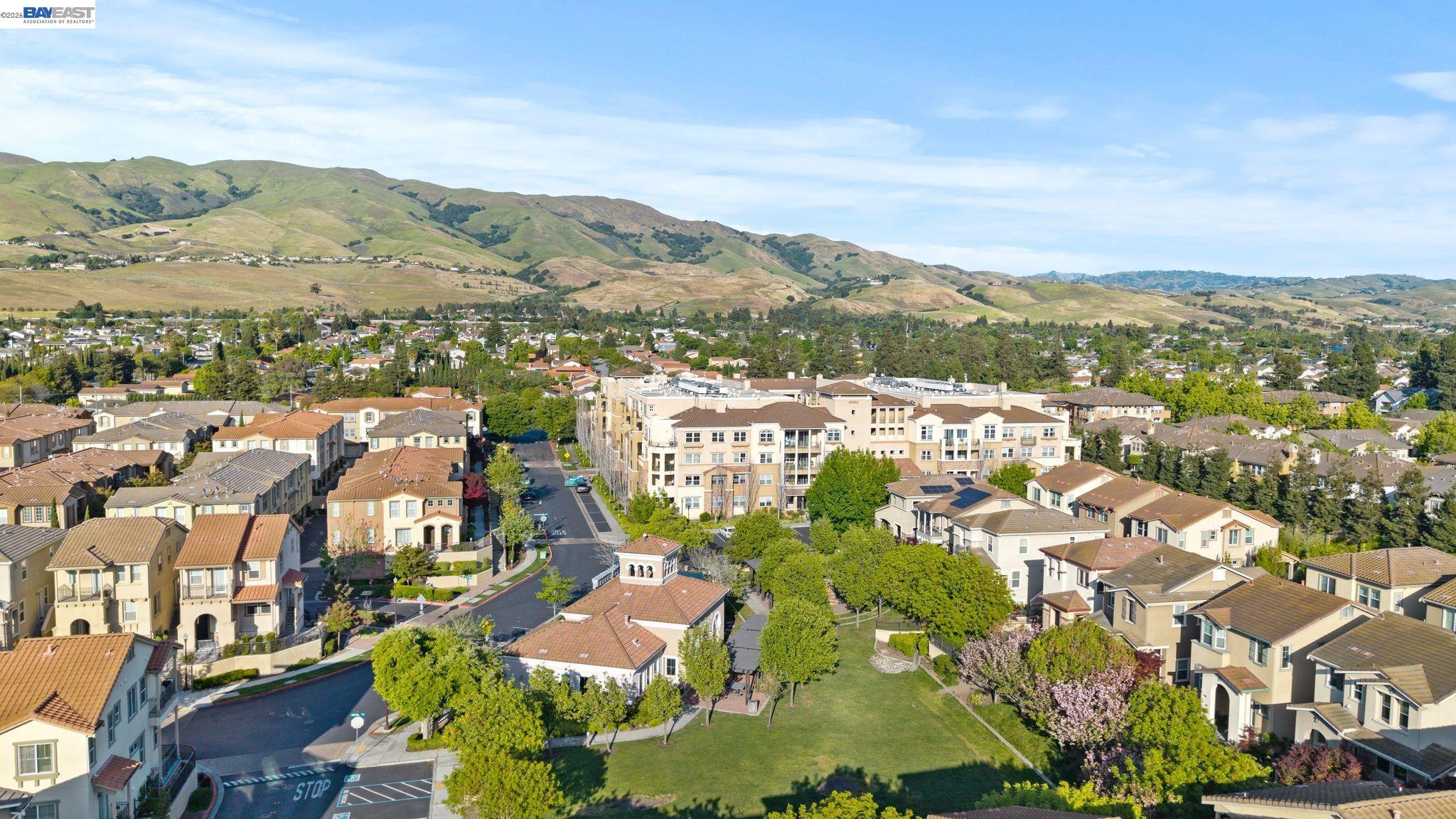 49002 Cinnamon Ferm Common # 507