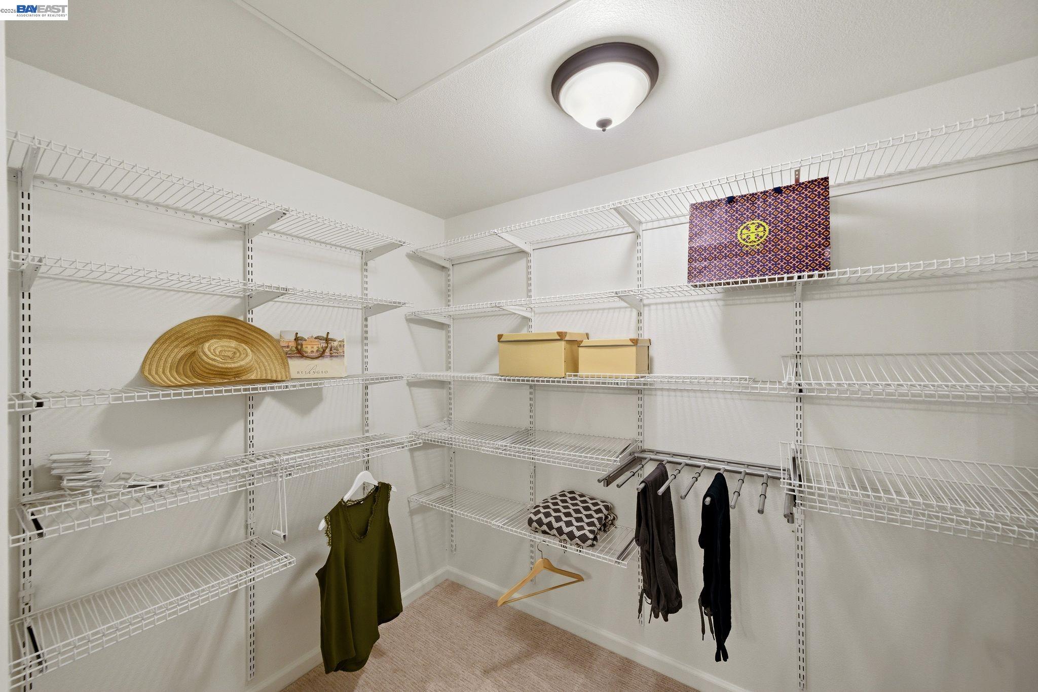 49002 Cinnamon Ferm Common # 507