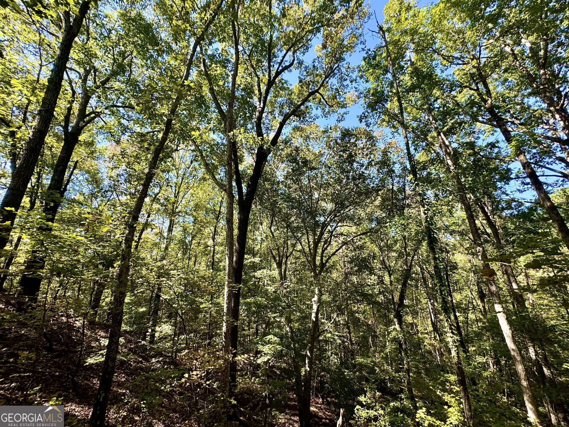 0 Highway 112