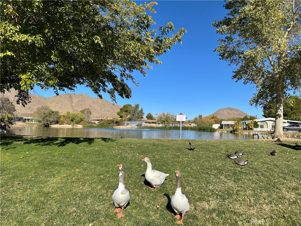 20843 Waalew Road C104