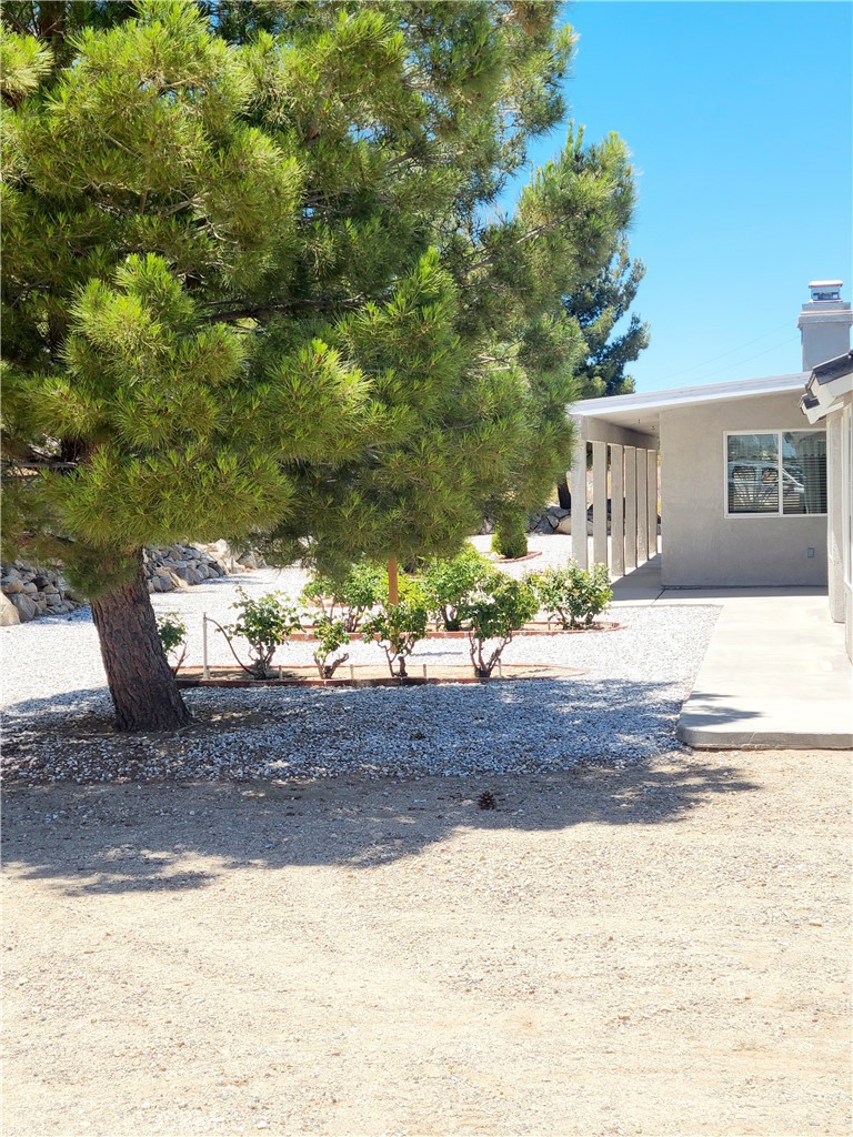 325 Canyon Road