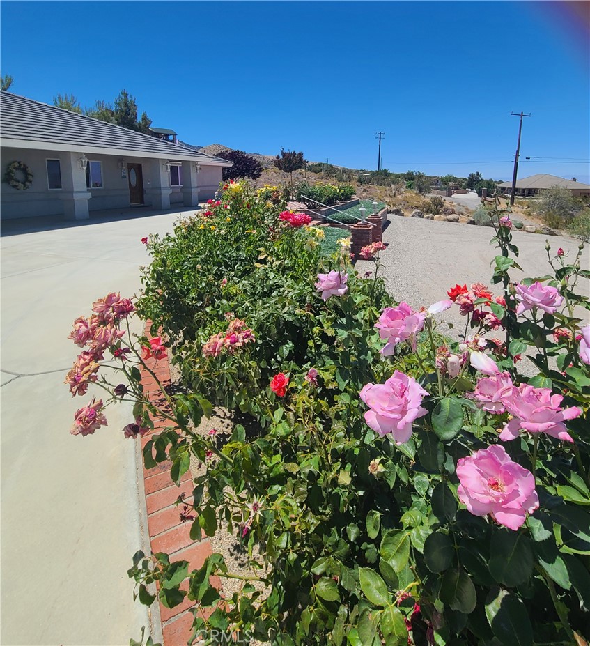 325 Canyon Road