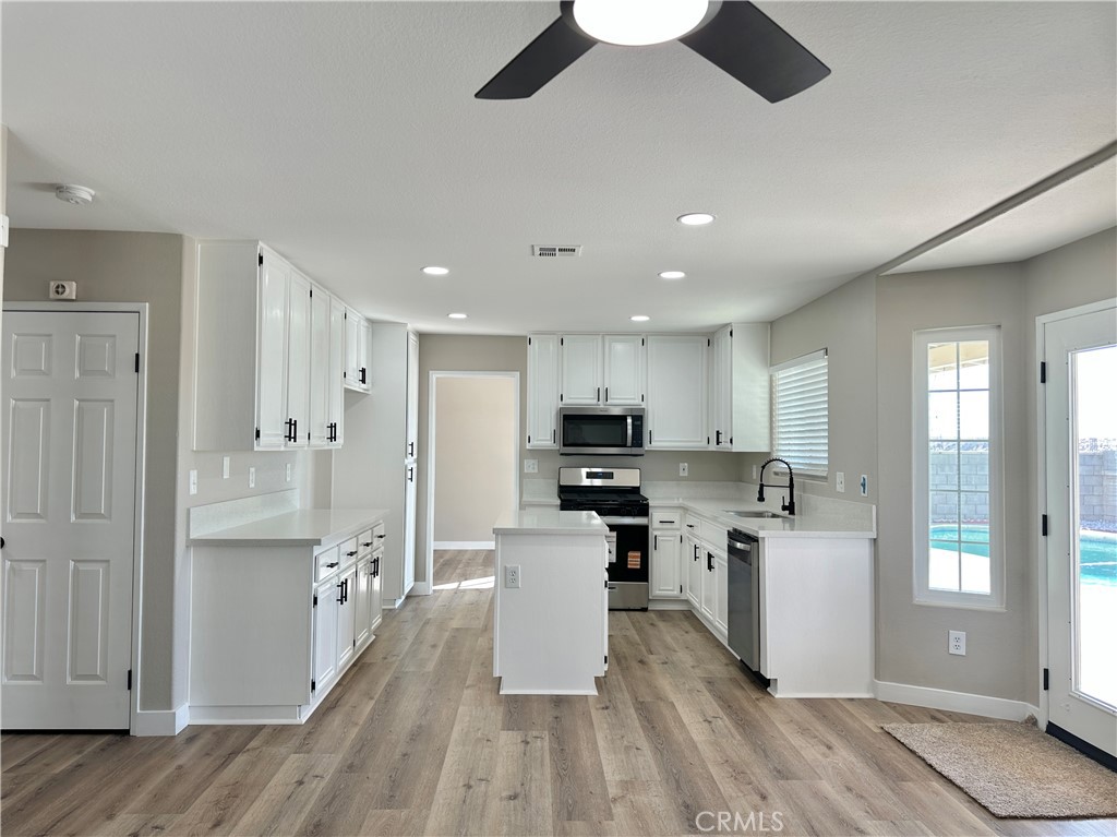 17132 Jurassic Place