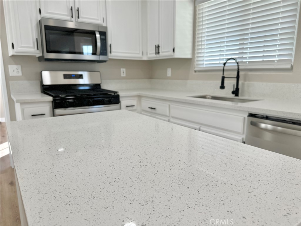 17132 Jurassic Place