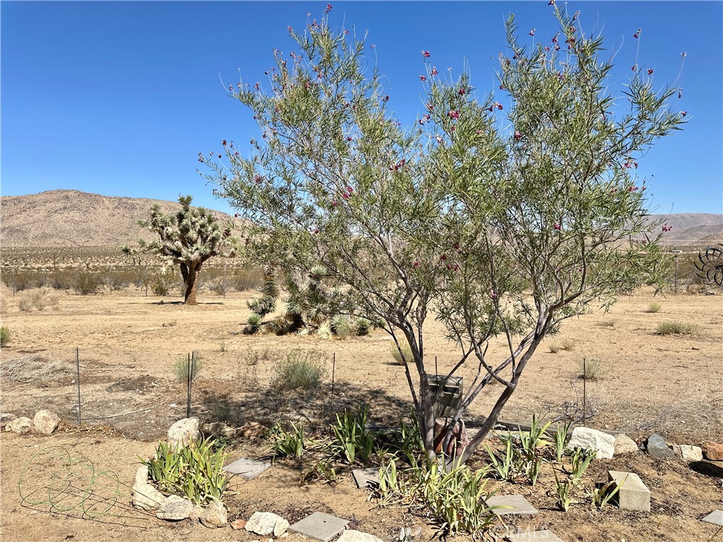 15960 Soft Tail Road