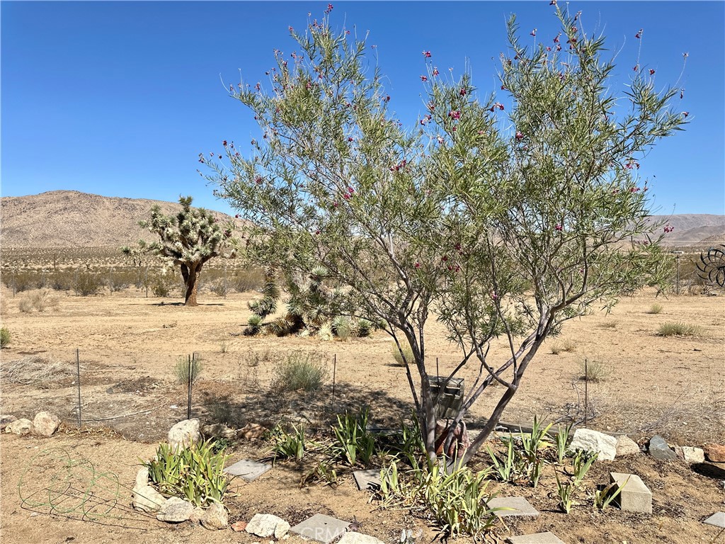 15960 Soft Tail Road