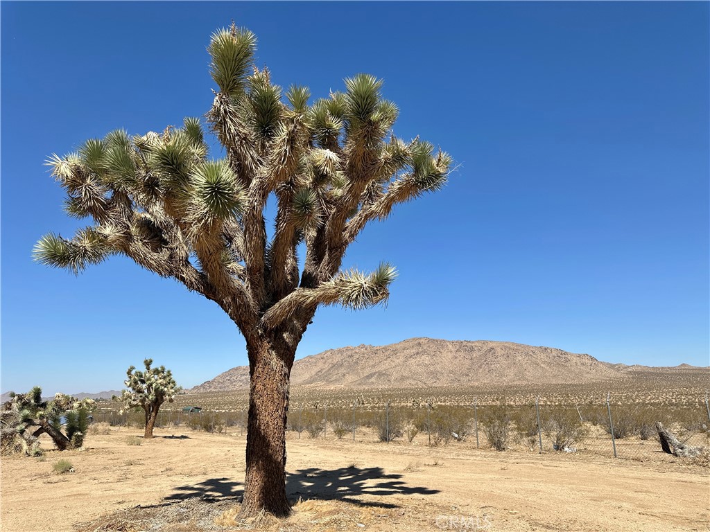 15960 Soft Tail Road