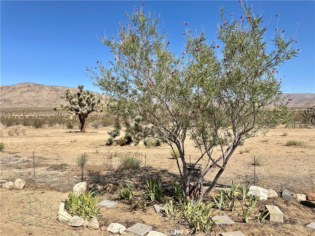 15960 Soft Tail Road