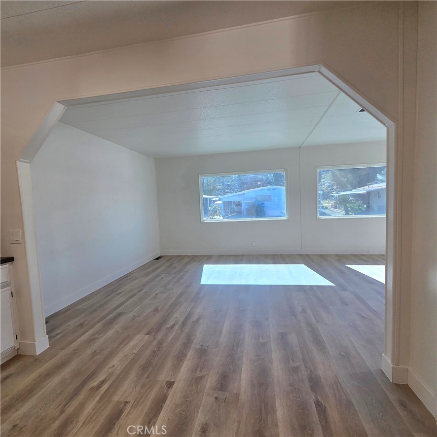 30930 Paradise Palm