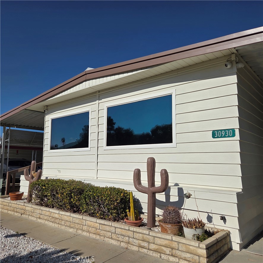 30930 Paradise Palm