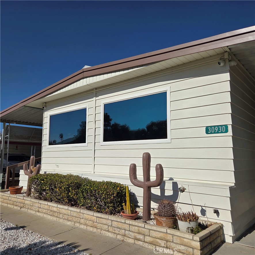 30930 Paradise Palm