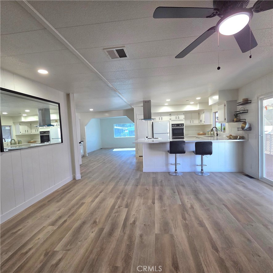 30930 Paradise Palm