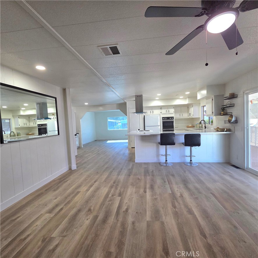 30930 Paradise Palm