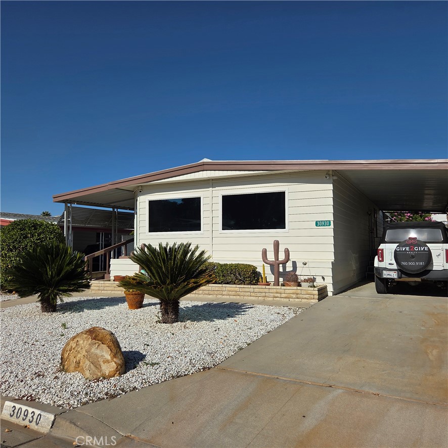 30930 Paradise Palm