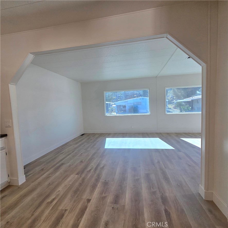 30930 Paradise Palm