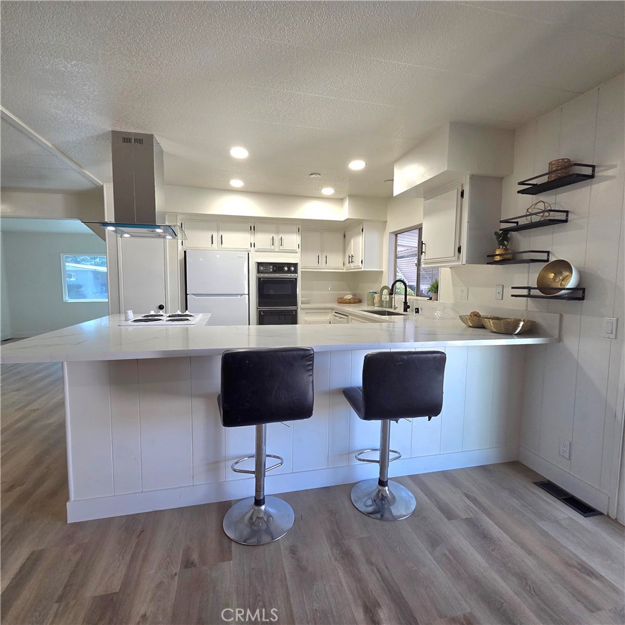 30930 Paradise Palm