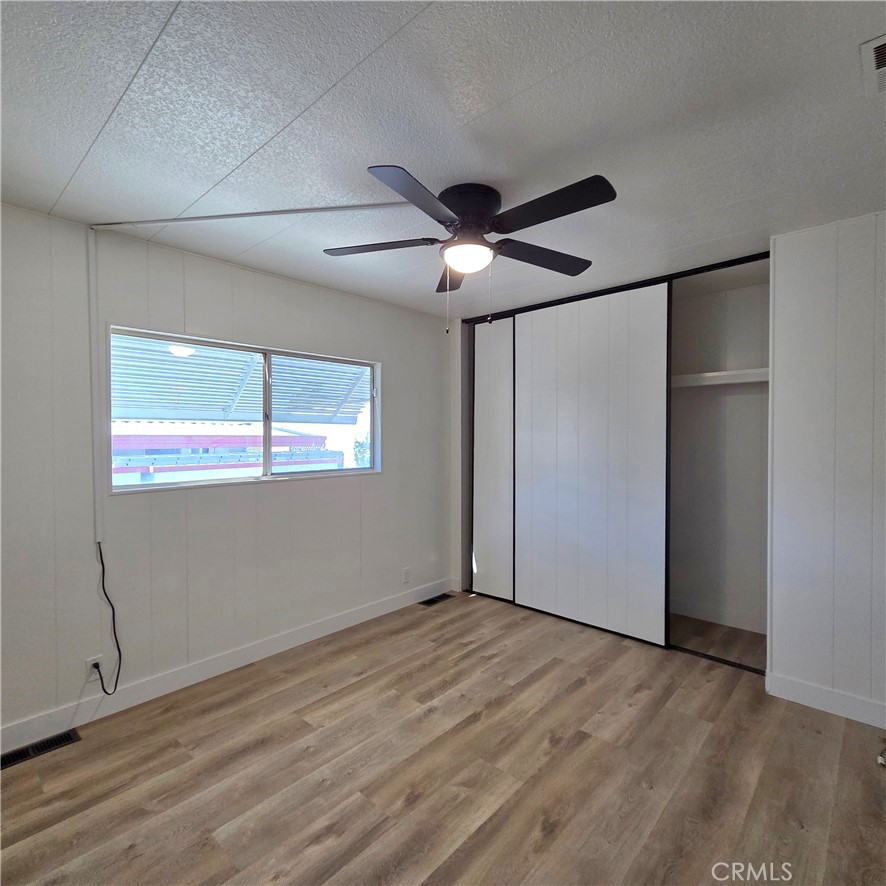 30930 Paradise Palm